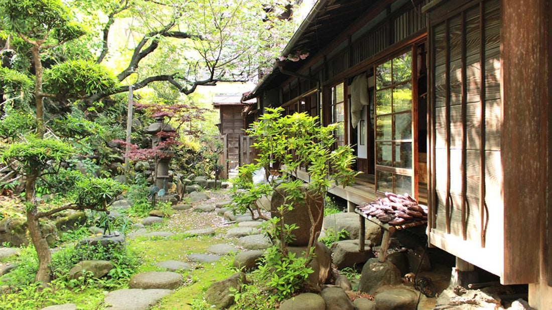 Japanese Antique / Ancestral "Kominka" House Cafe Tour