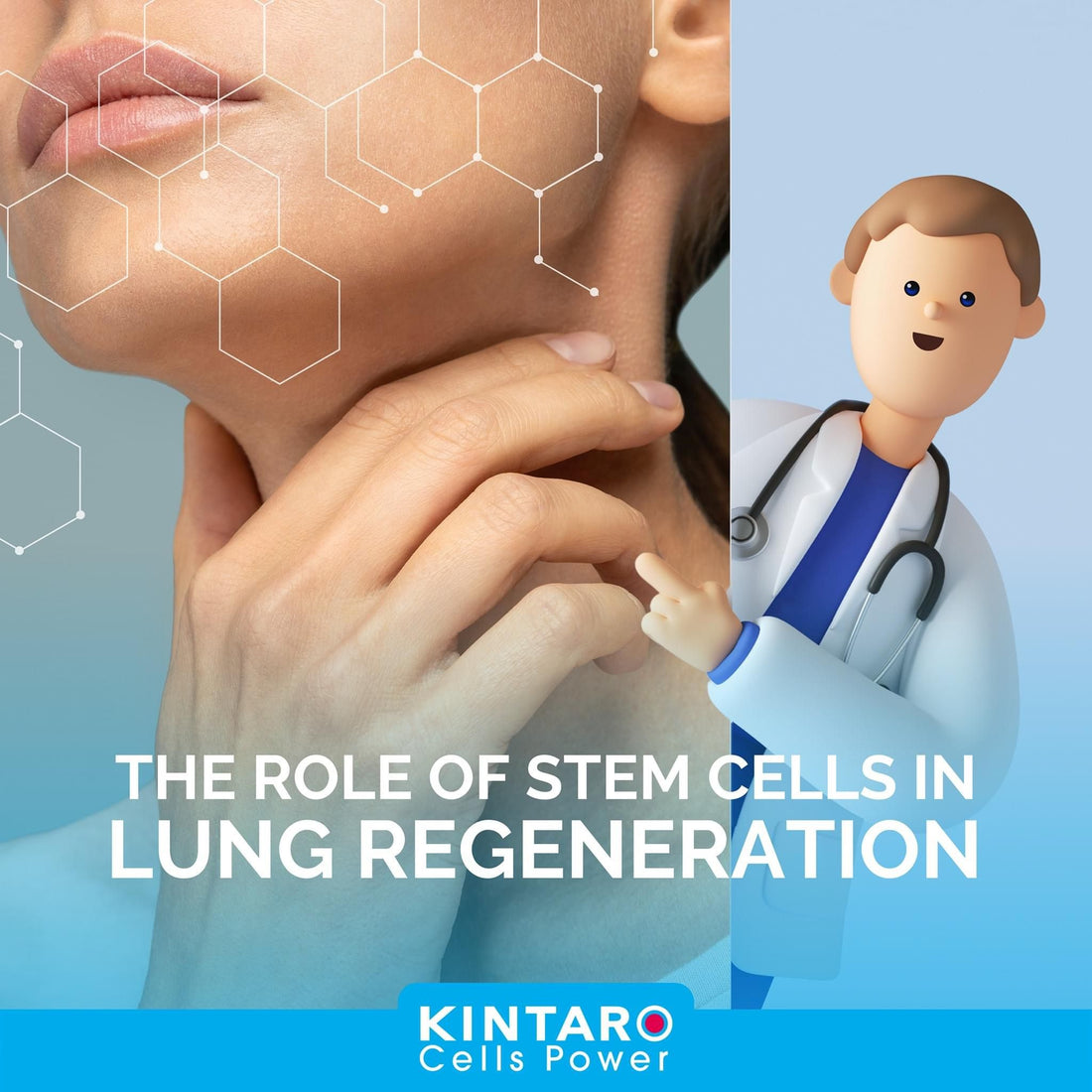 Kintaro Stem Cells® Greatly Helps in Lung Regeneration