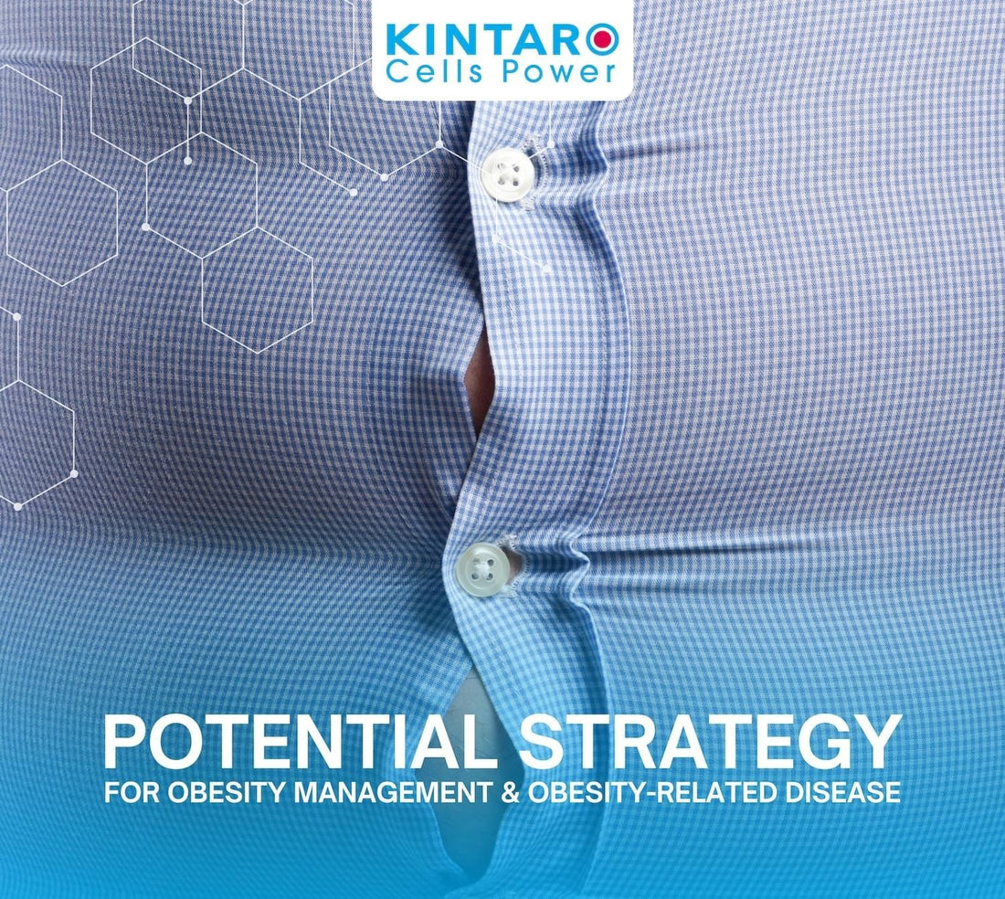 Kintaro Stem Cells® helping in Obesity Management and Obesity Related Diseases