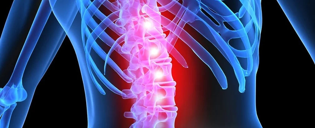 Degenerative Spine Therapy and Treatment