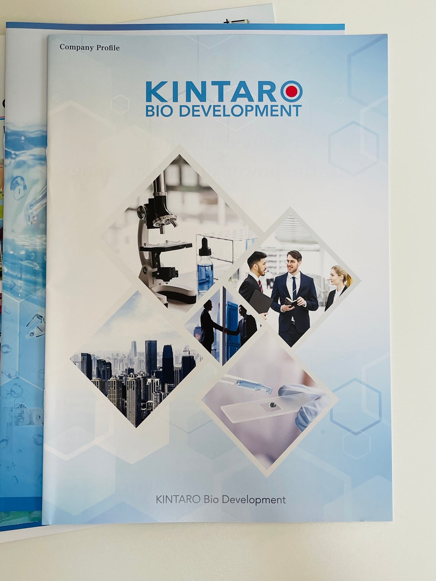 (HARDCOPY) Kintaro Cells Power Company Brochures & Pamplets Set